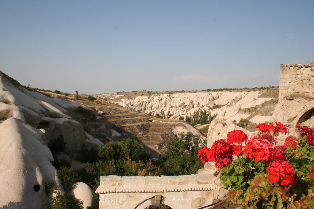 Babayan Evi Cave Hotel أوروغوبْ المظهر الخارجي الصورة